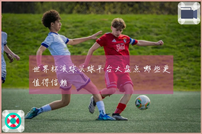 世界杯滚球买球平台大盘点 哪些更值得信赖