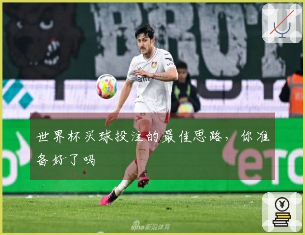 世界杯买球投注的最佳思路，你准备好了吗