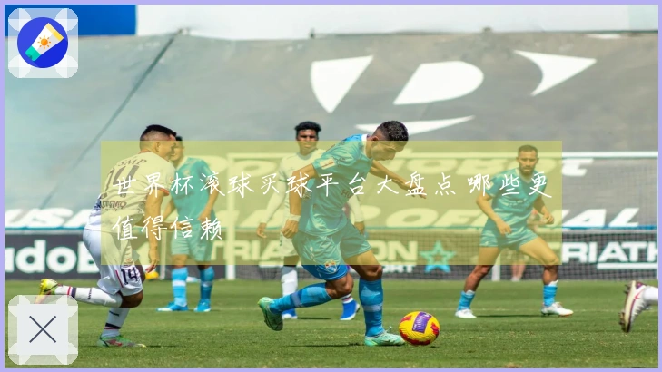 世界杯滚球买球平台大盘点 哪些更值得信赖
