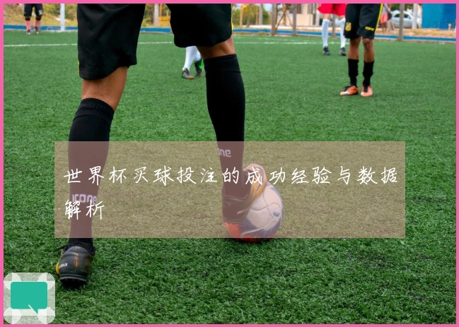 世界杯买球投注的成功经验与数据解析